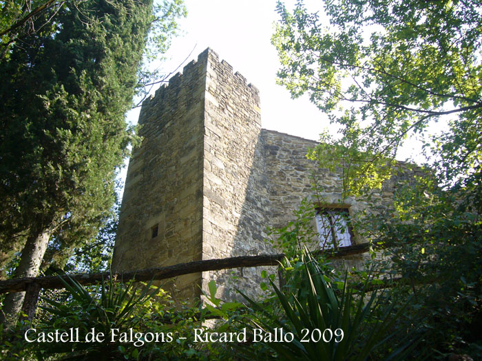 castell-de-falgons-090812_506