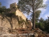 Castell de Farners 