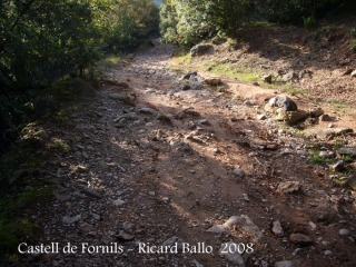 Camí al Castell de Fornils