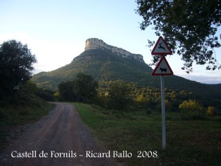 Camí al castell de Fornils