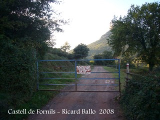 Camí al Castell de Fornils