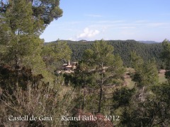 castell-de-gaia-120308_018