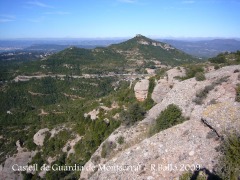 castell-de-la-guardia-de-montserrat-090308_555