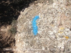 castell-de-la-guardia-de-montserrat-090308_706