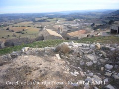 castell-de-la-guardia-pilosa-110203_517