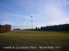 castell-de-la-guardia-pilosa-110203_531