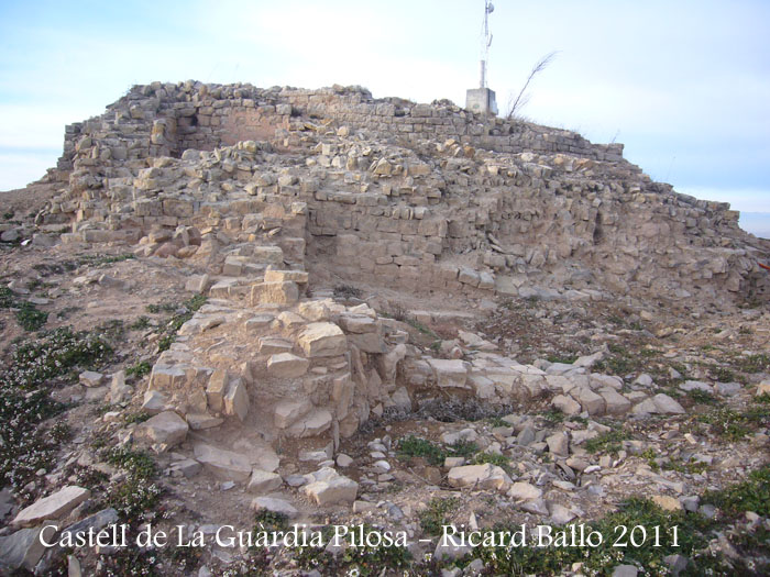 castell-de-la-guardia-pilosa-110203_510