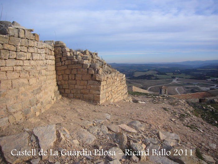 castell-de-la-guardia-pilosa-110203_514