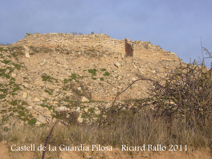 castell-de-la-guardia-pilosa-110203_523