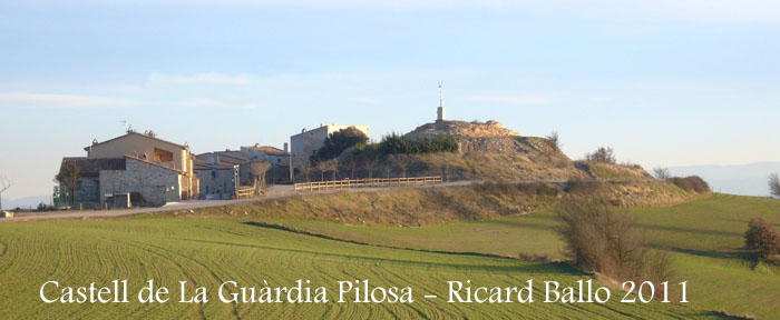 castell-de-la-guardia-pilosa-110203_530bis_andreu