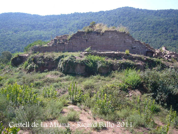 castell-de-la-miana-110909_507