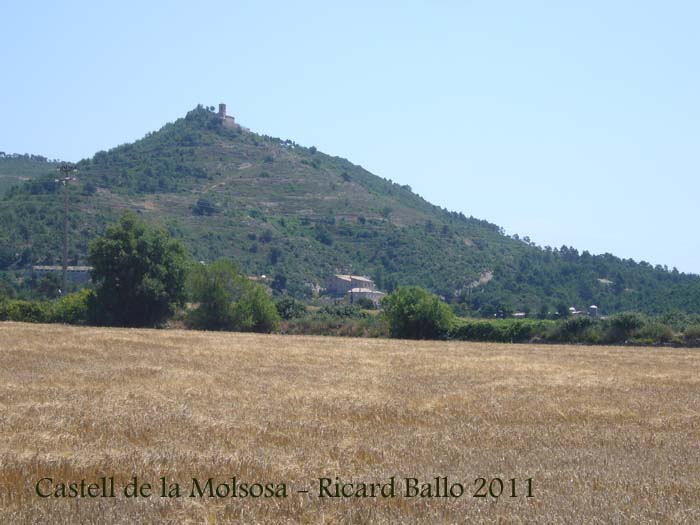 castell-de-la-molsosa-110621_535