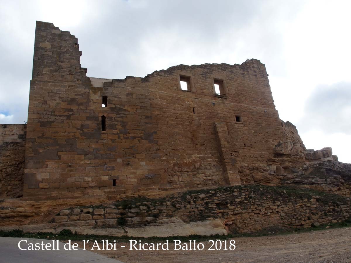 Castell de l'Albi