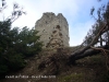 Castell de l'Albiol.