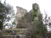 Castell de l'Albiol.