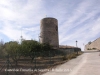 Castell de l'Ametlla de Segarra - Montoliu de Segarra