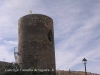 Castell de l'Ametlla de Segarra - Montoliu de Segarra