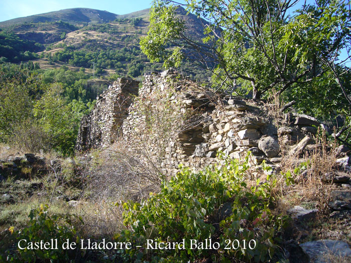 castell-de-lladorre-100910_516