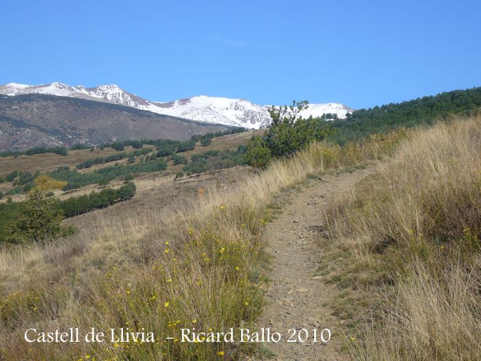 castell-de-llivia-101104_518