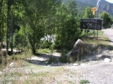 Abandonem la carretera que es dirigeix a Espot, uns metres abans de l'entrada al Camping La Mola.