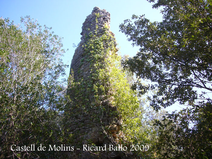 castell-de-molins-090929_504