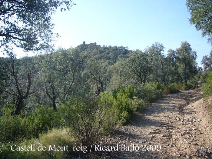 castell-de-mont-roig-090711_507