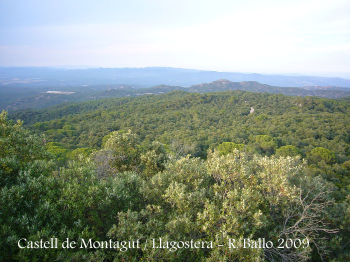 castell-de-montagut-090815_520