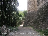 Castell de Montclús