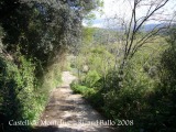 Castell de Montclús - Camí - Baixada cap a la riera.