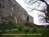 Castell de Montfalcó del Duc