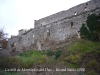 Castell de Montfalcó del Duc
