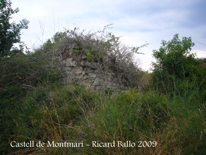 castell-de-montmari-090628_501