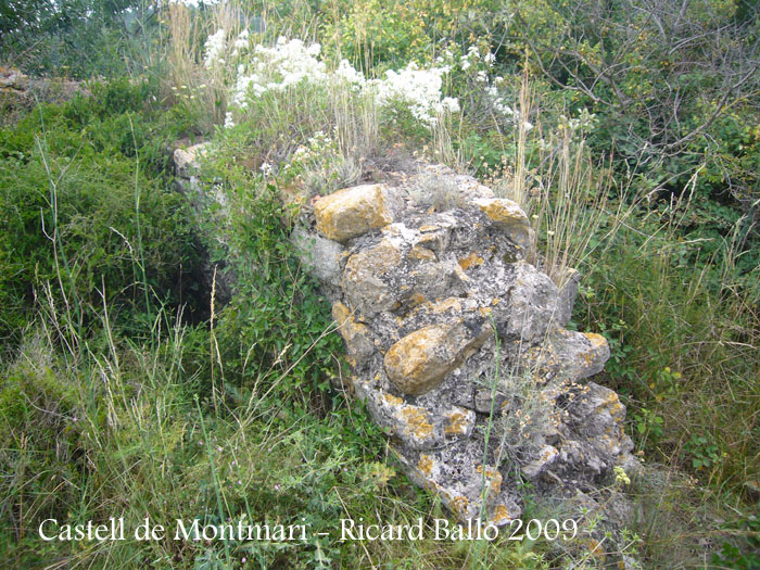 castell-de-montmari-090628_503