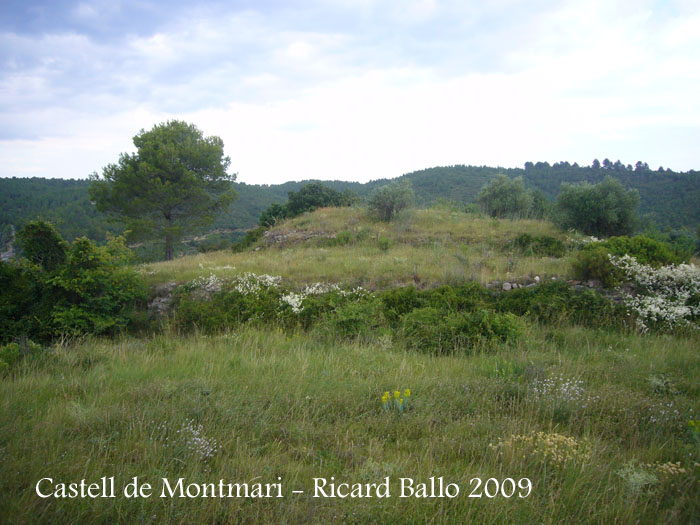 castell-de-montmari-090628_508