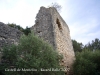 Castell de Montoliu