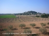 Castell de Montornès - vista general, entorn.