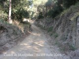 Camí de pujada al Castell de Montpalau.