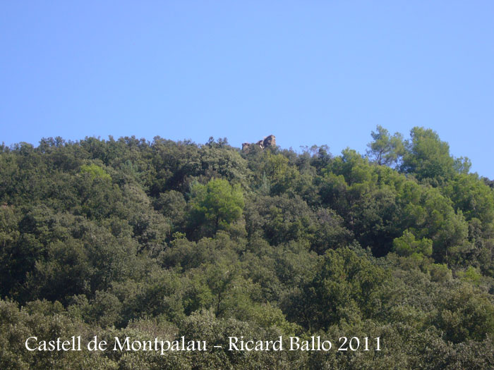 castell-de-montpalau-110909_531