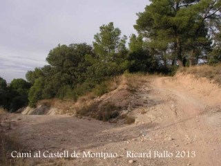 Camí al Castell de Montpaó – Ribera d’Ondara