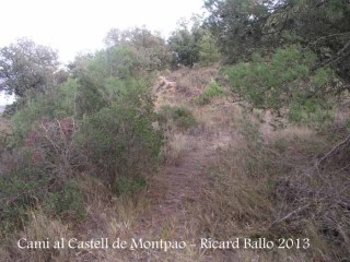 Camí al Castell de Montpaó – Ribera d’Ondara