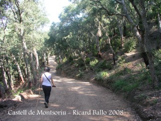 Camí a peu al castell de Montsoriu