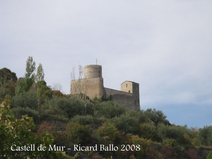 castell-de-mur-081009_702