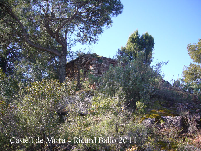 castell-de-mura-110402_509