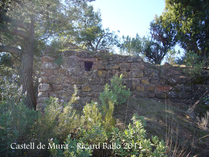 castell-de-mura-110402_510