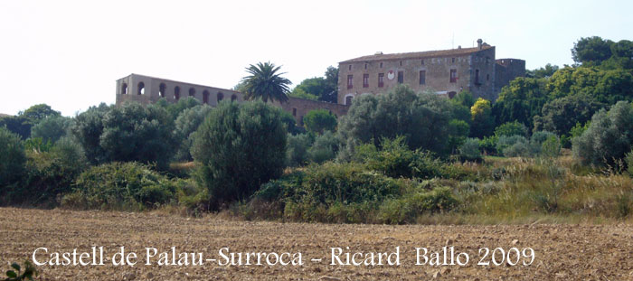 castell-de-palau-surroca-090624_511bis