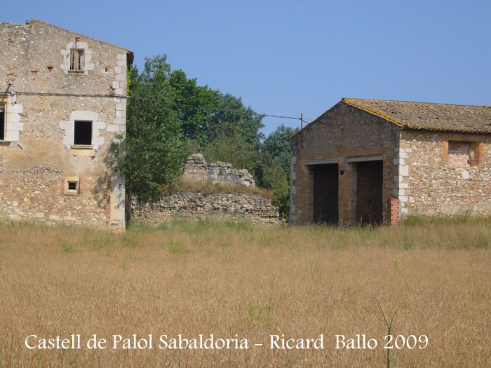 castell-de-palol-sabaldoria-090624_503