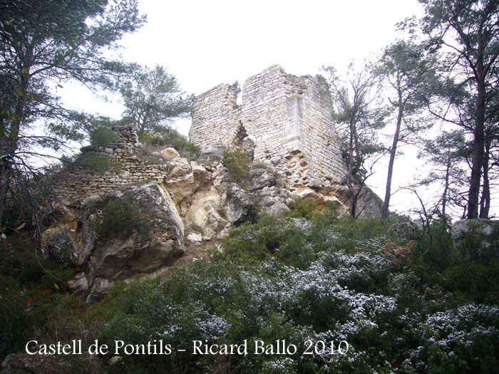 castell-de-pontils-100126_503