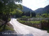 Camí al castell de Prenafeta.