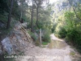 Camí al castell de Prenafeta.