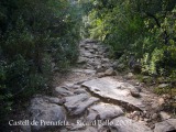 Camí al castell de Prenafeta.